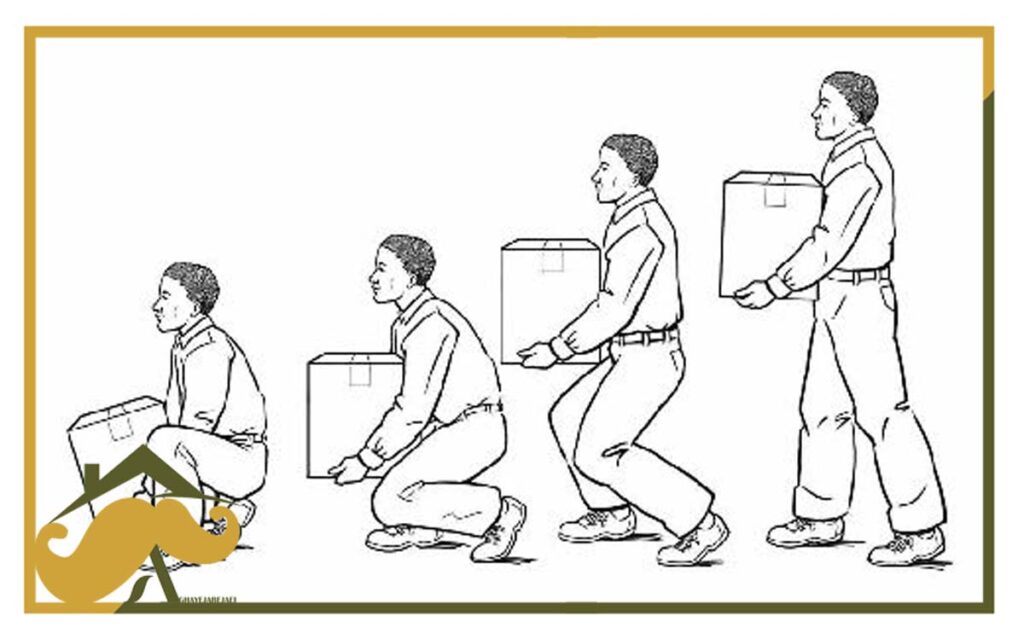 مناسب ترین ارتفاع برای جابجایی بار