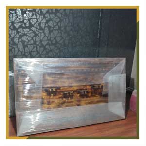 اسباب کشی بین شهری