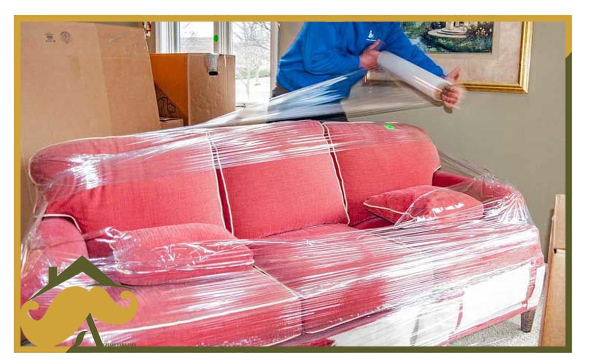 سلفون اسباب کشی 